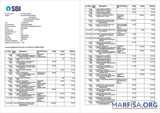 Printable India State Bank of India account statement word 2 pages template